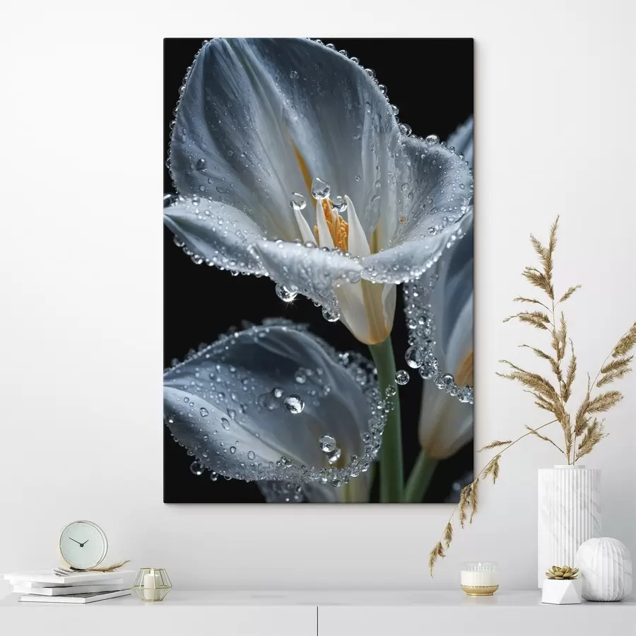 murales de pared Flor transparente sobre fondo negro s44479