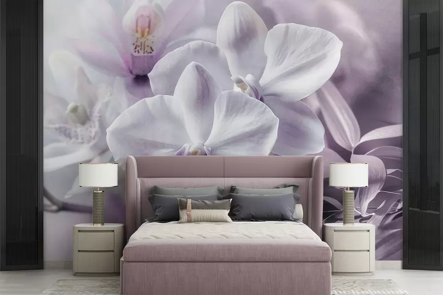 murales de pared Delicadas flores de orquídea blancas y lilas, iluminación suave y fondo difuminado con textura  w09155