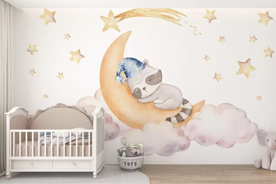 murales de pared Mapache en la luna w09169