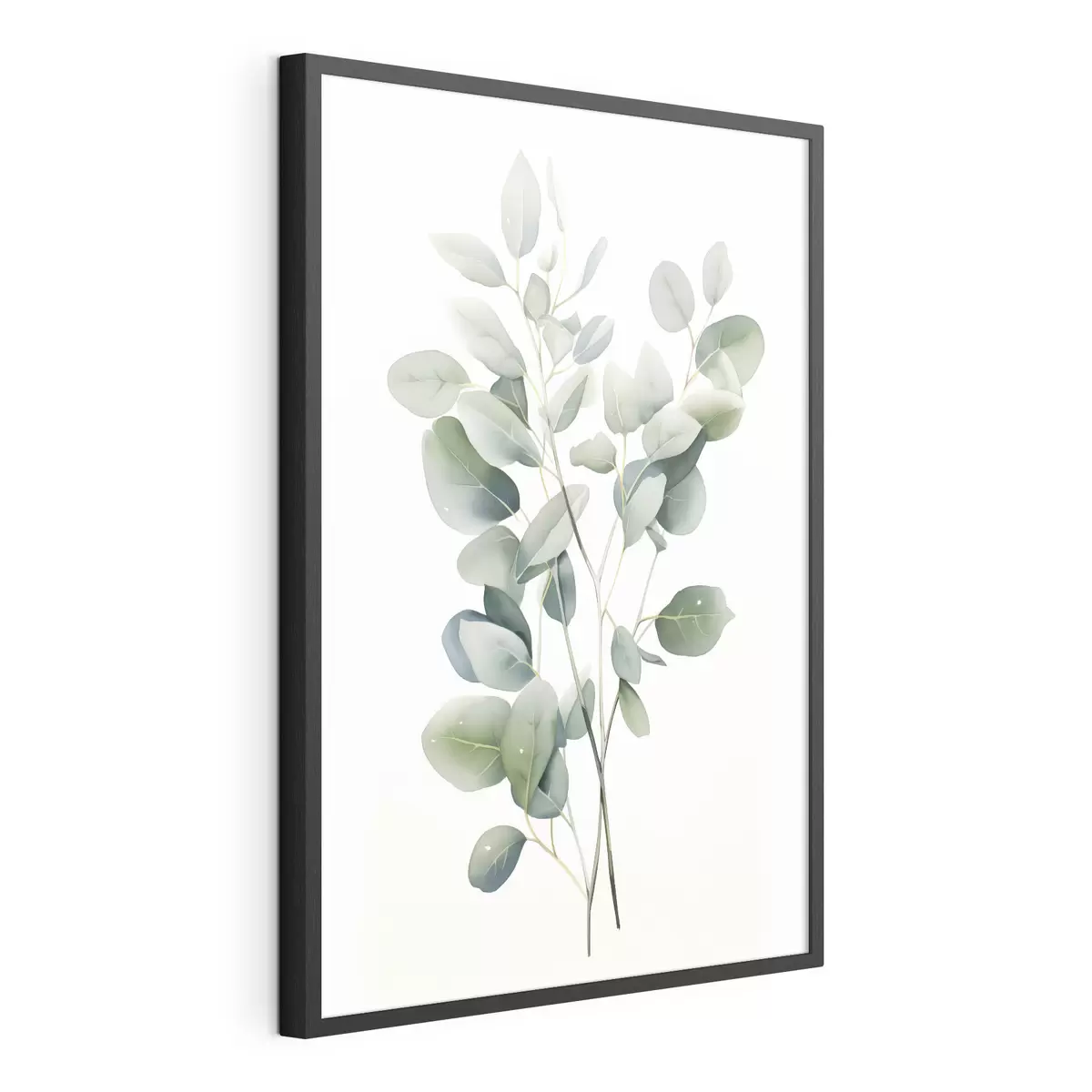Poster Eucalipto f44676