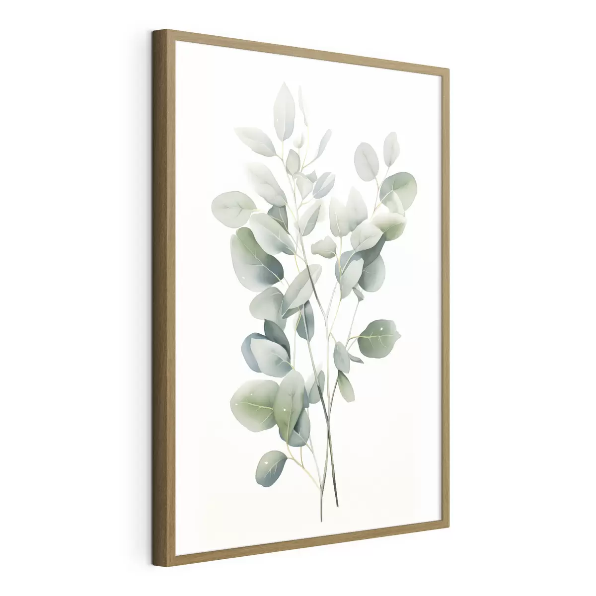 Poster Eucalipto f44676