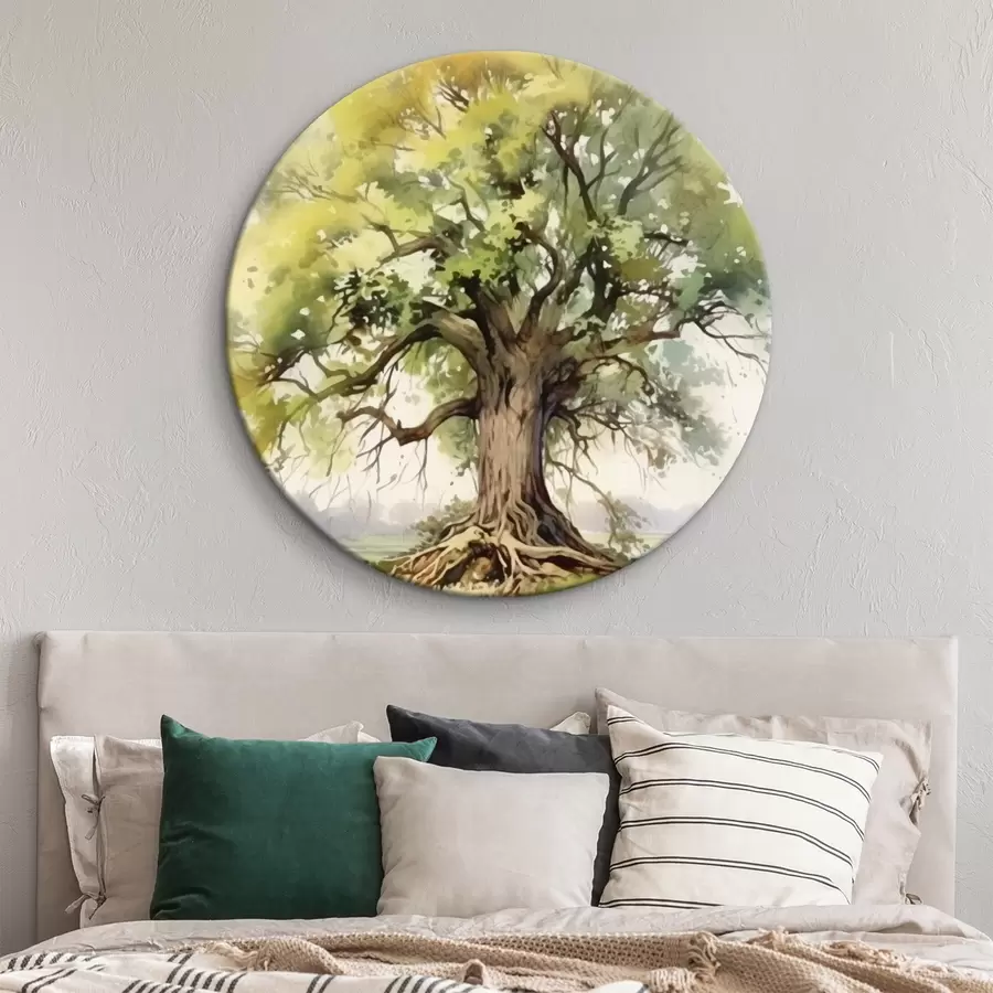 murales de pared Un viejo árbol con raíces extendidas r44731