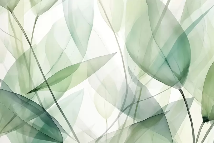 murales de pared Venas transparentes de las hojas w04145