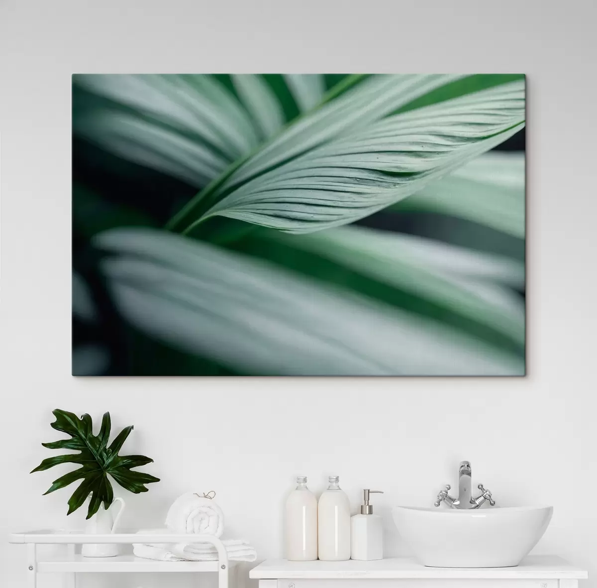 murales de pared Hojas tropicales con gotas de agua en un ambiente brumoso s44903