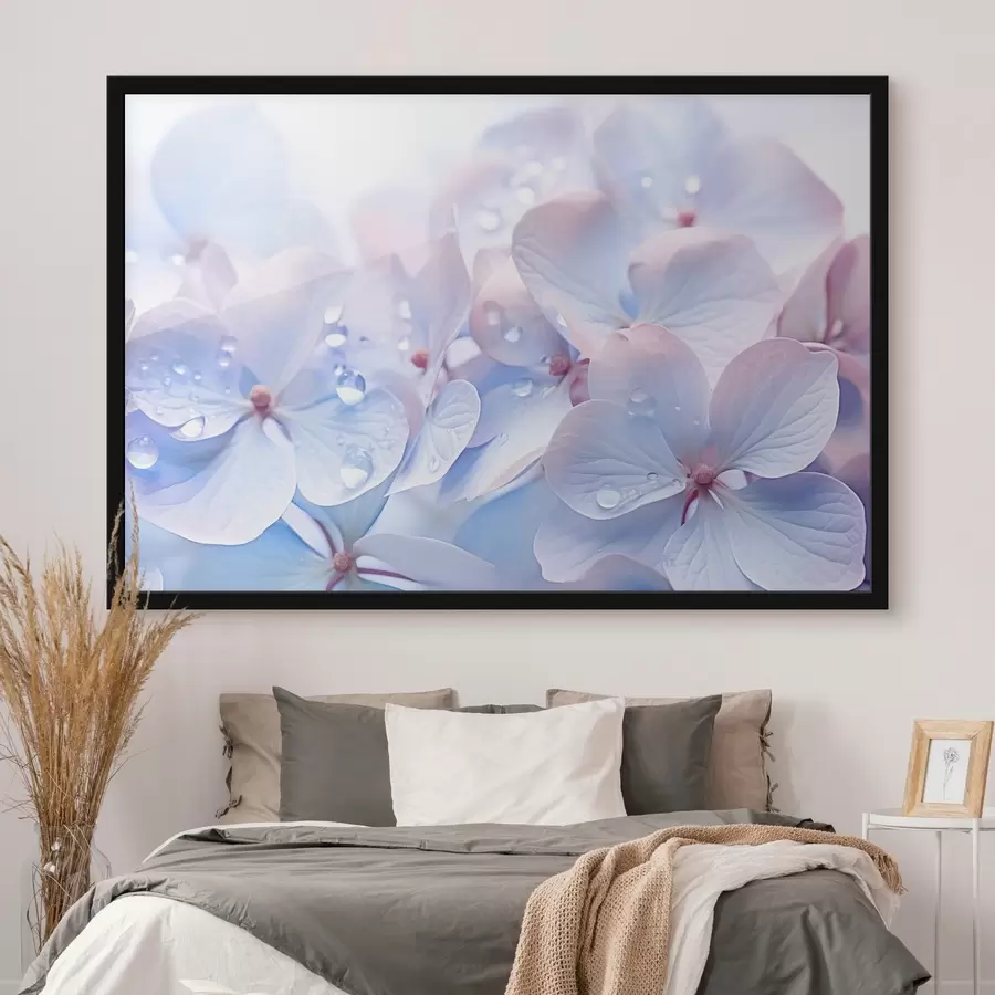 murales de pared Flores de hortensia con gotas de agua en los delicados pétalos, suaves colores pastel, tonos azul claro y rosa f44929