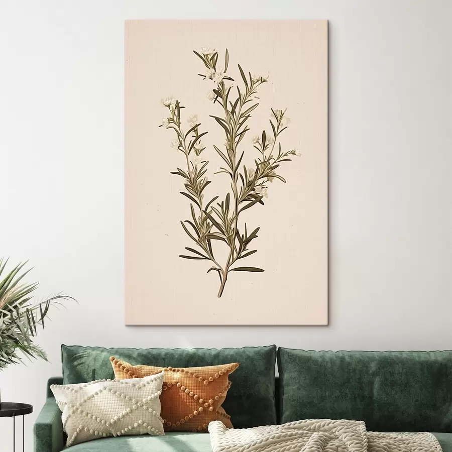 murales de pared botánico, rama, fondo beige, hierba, minimalista, planta, hojas verdes, tallo s45098