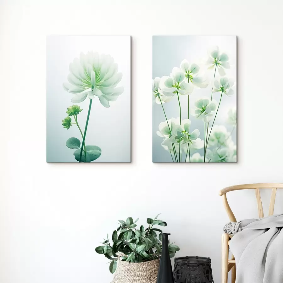 murales de pared Flores de trébol blanco con tallo y hojas verdes, iluminación suave, fondo limpio, composición minimalista, botánica m00520