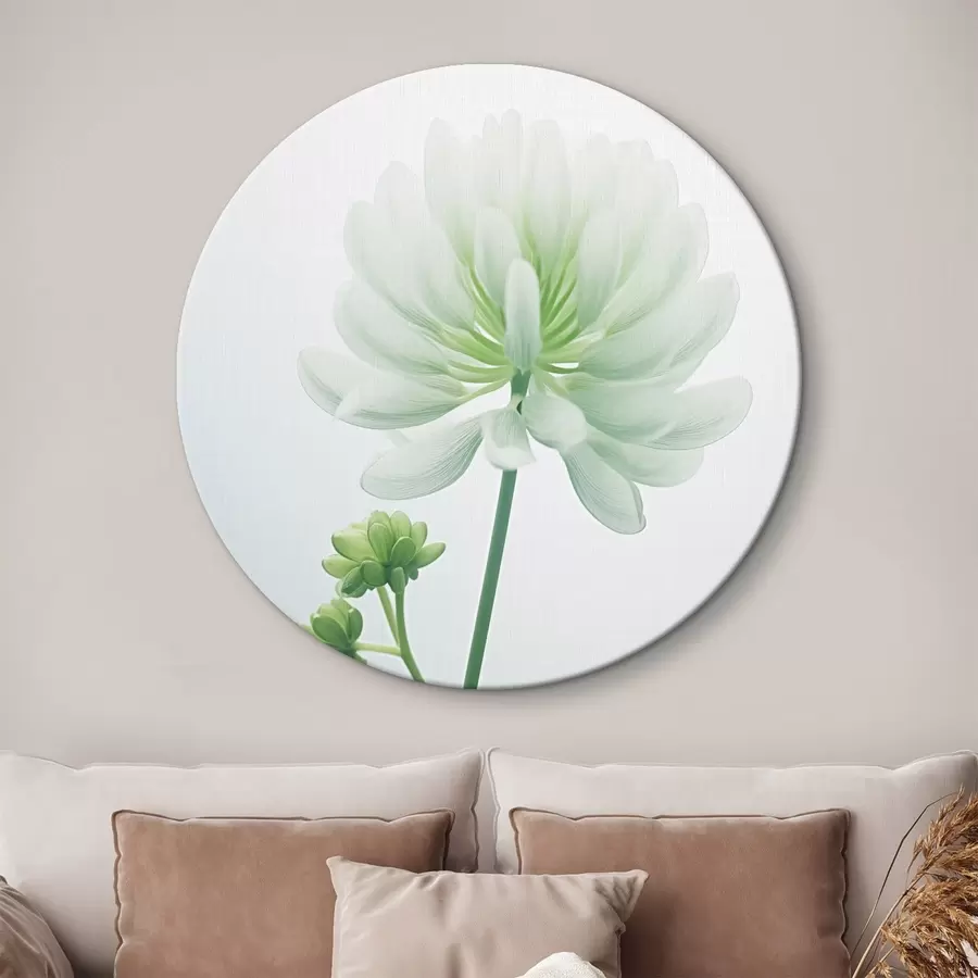 murales de pared Flor de trébol blanco con tallo y hojas verdes, iluminación suave, fondo limpio, composición minimalista, botánica r45171