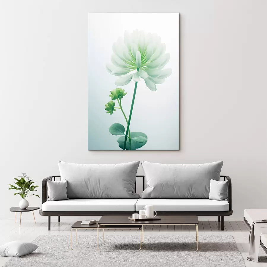 murales de pared Flor de trébol blanco con tallo y hojas verdes, iluminación suave, fondo limpio, composición minimalista, botánica s45171