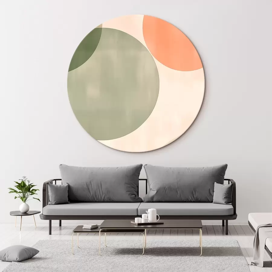 murales de pared Grandes círculos abstractos r45794