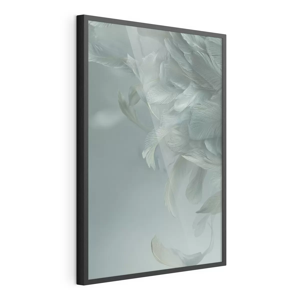 Poster Plumas y vuelo f45708