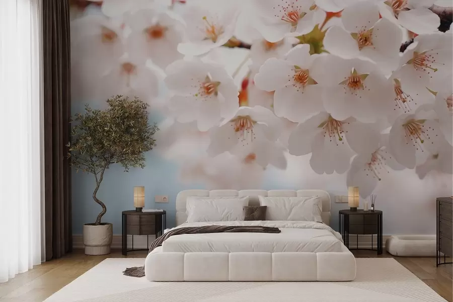 murales de pared Delicadas flores de cerezo en un estilo artístico w04160