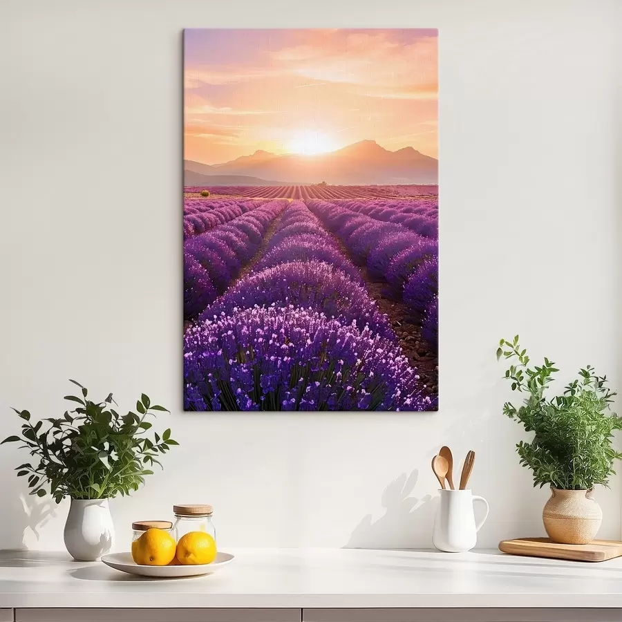 murales de pared Puesta de sol en un campo de lavanda s45663