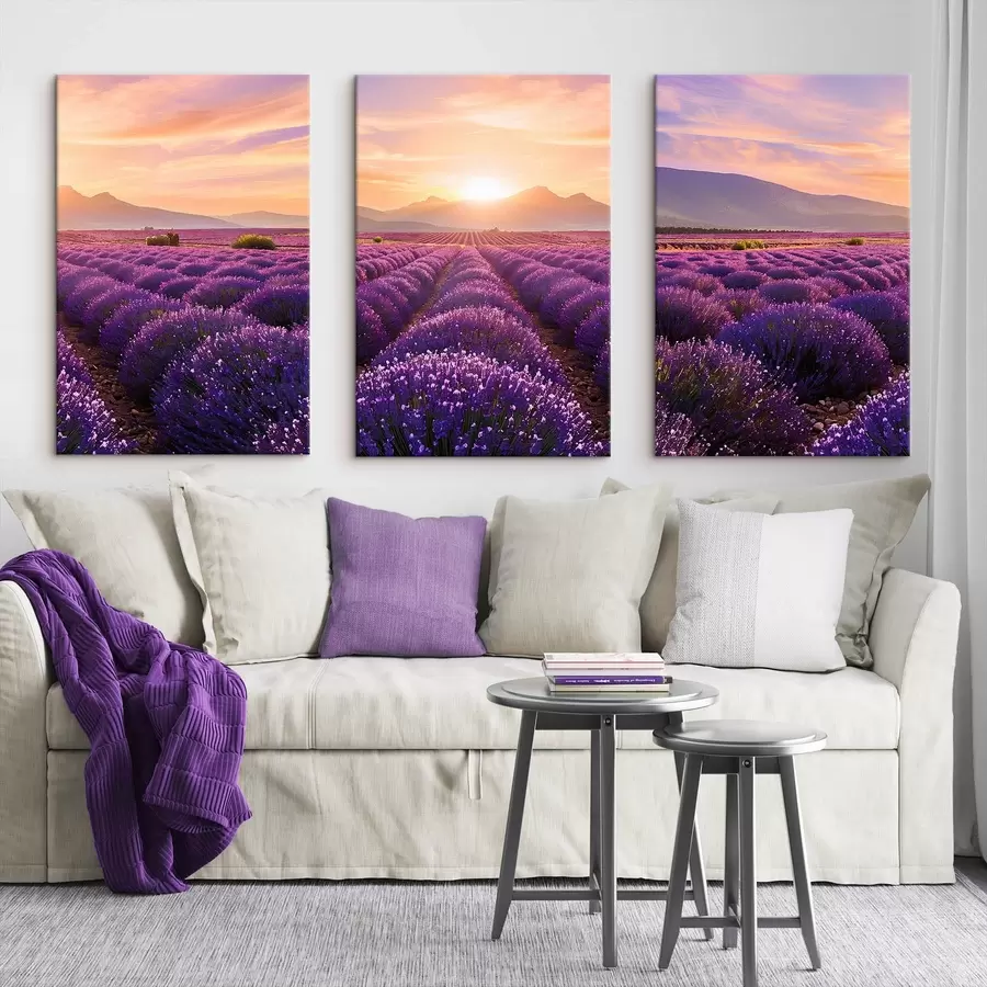 murales de pared Puesta de sol en un campo de lavanda m00785