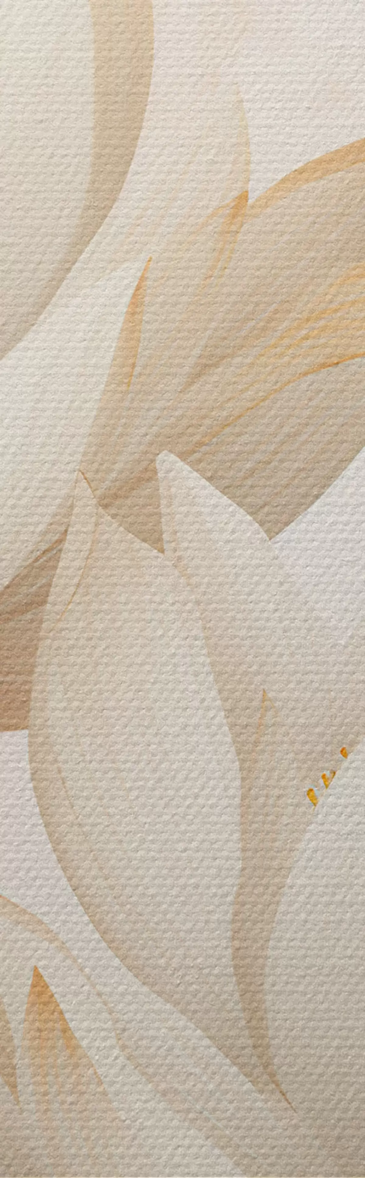 murales de pared Hermosas flores de loto m00861