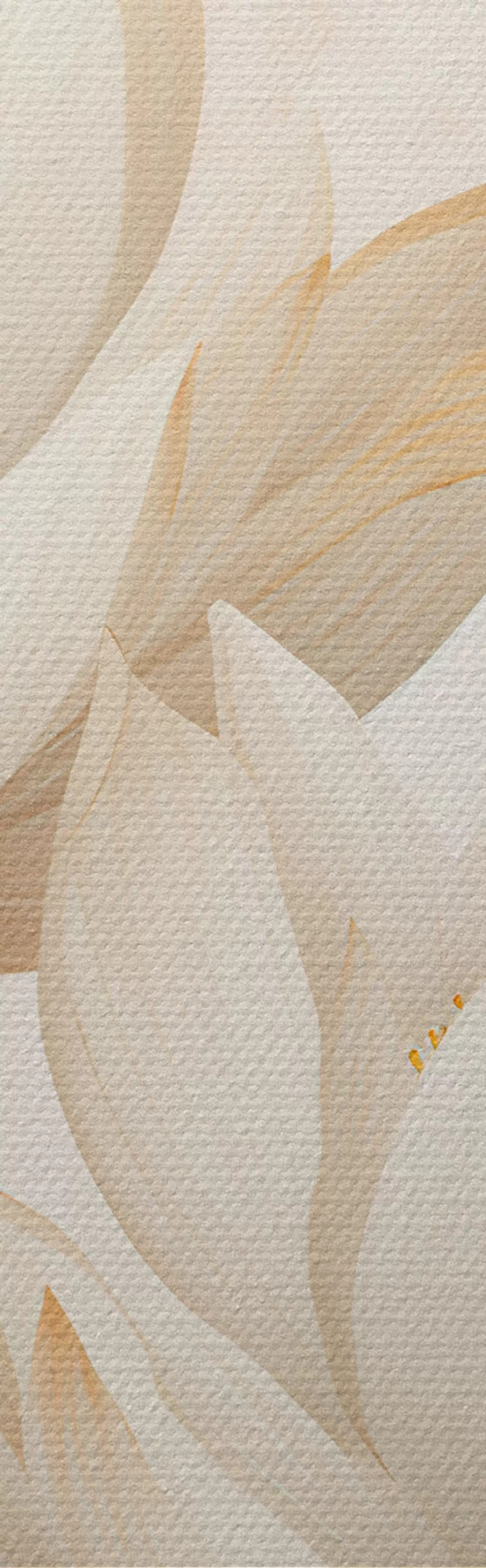 murales de pared Hermosas flores de loto m00861