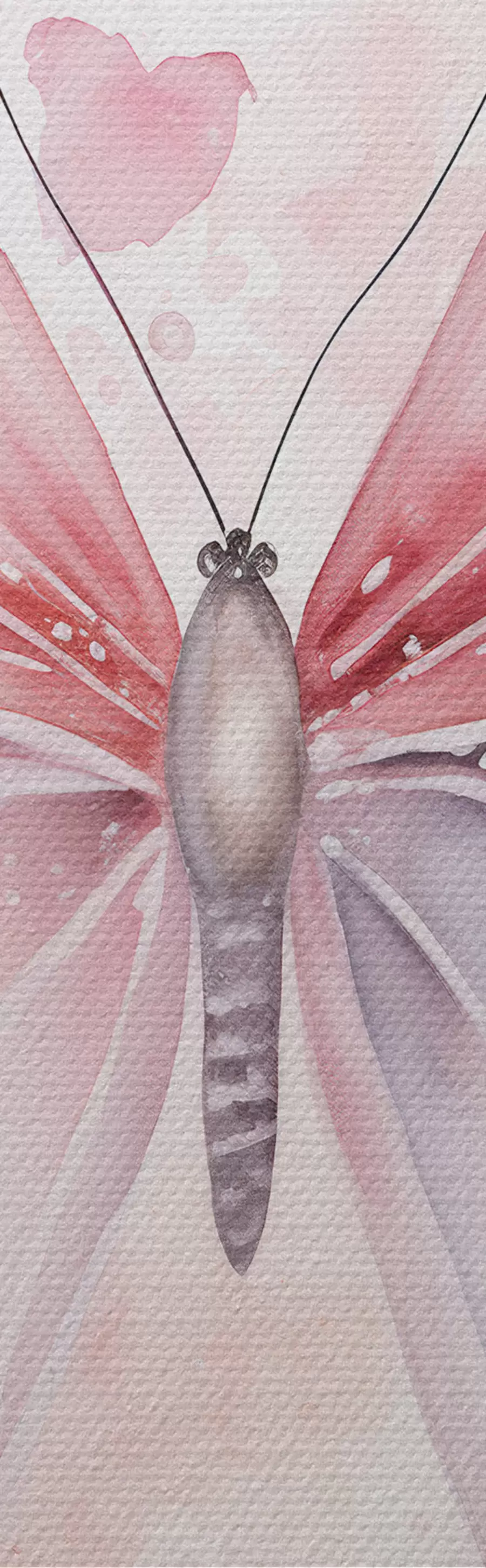 murales de pared Varias mariposas rosas m00864