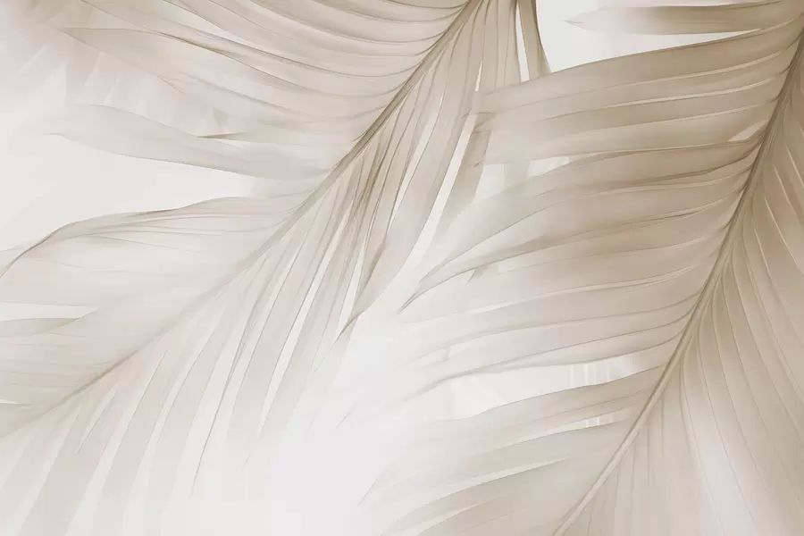 murales de pared Hojas de helecho w04727