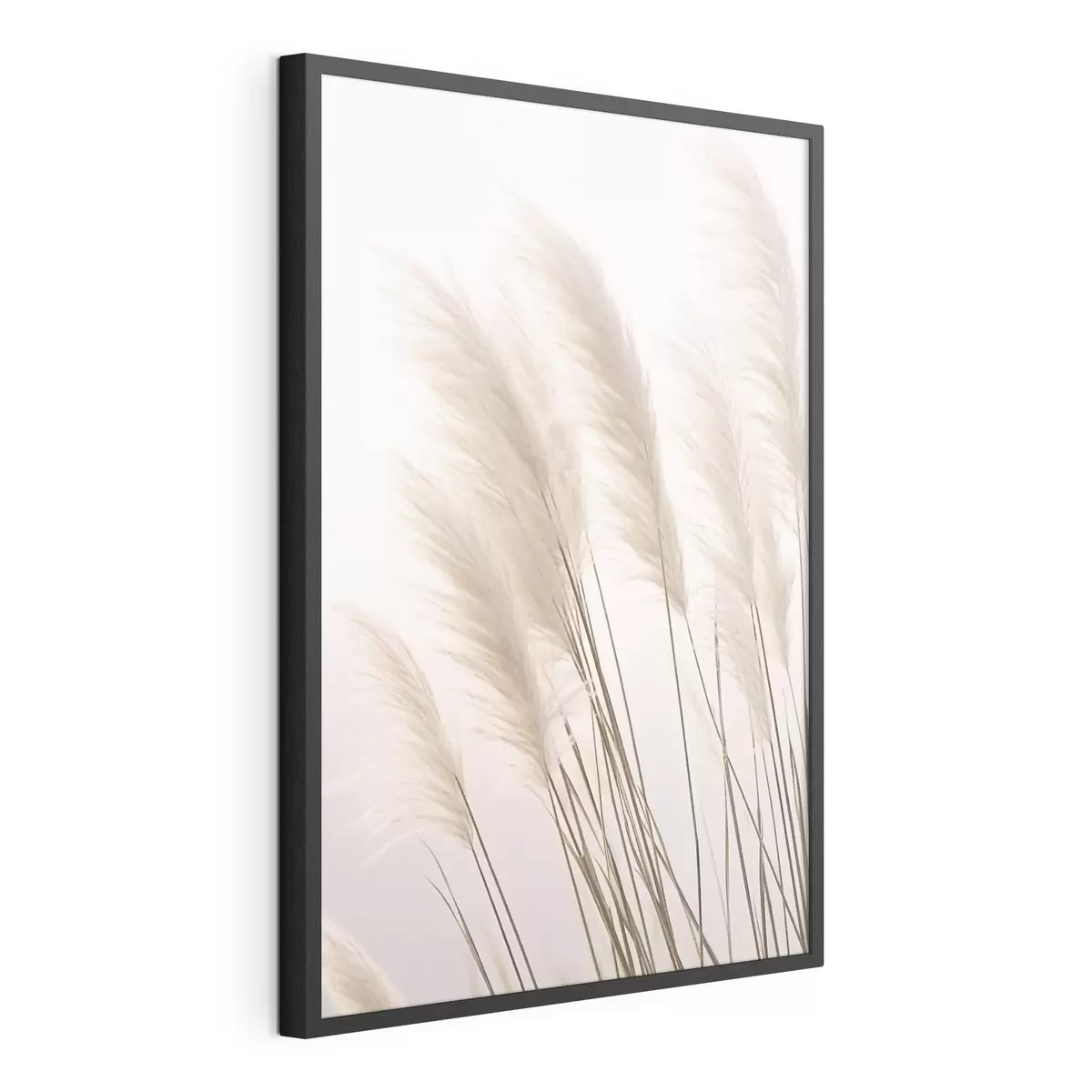 Poster Hierbas ligeras con copas esponjosas sobre un fondo pálido f46179