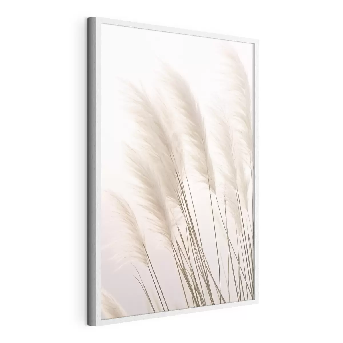 Poster Hierbas ligeras con copas esponjosas sobre un fondo pálido f46179