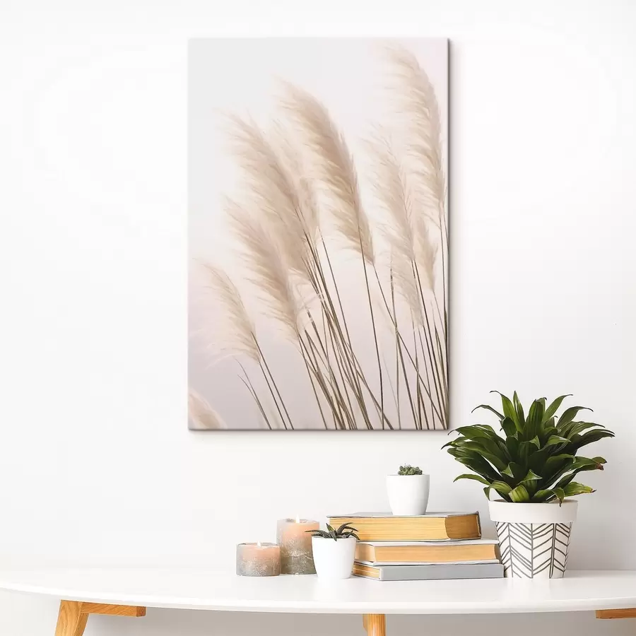 murales de pared Hierbas ligeras con copas esponjosas sobre un fondo pálido s46179