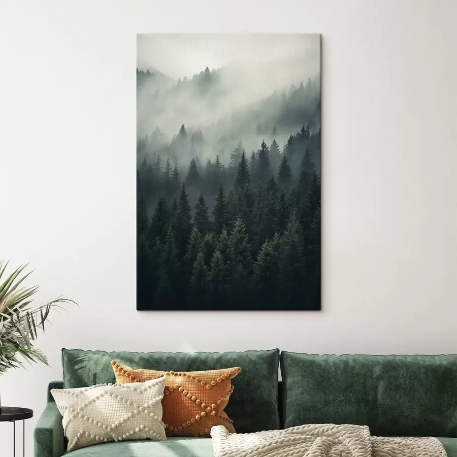 murales de pared Niebla sobre un denso bosque siempreverde s46512