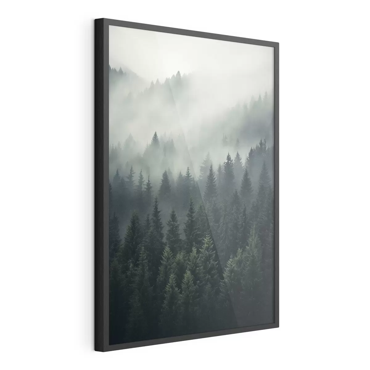 Poster Niebla sobre un denso bosque siempreverde f46512