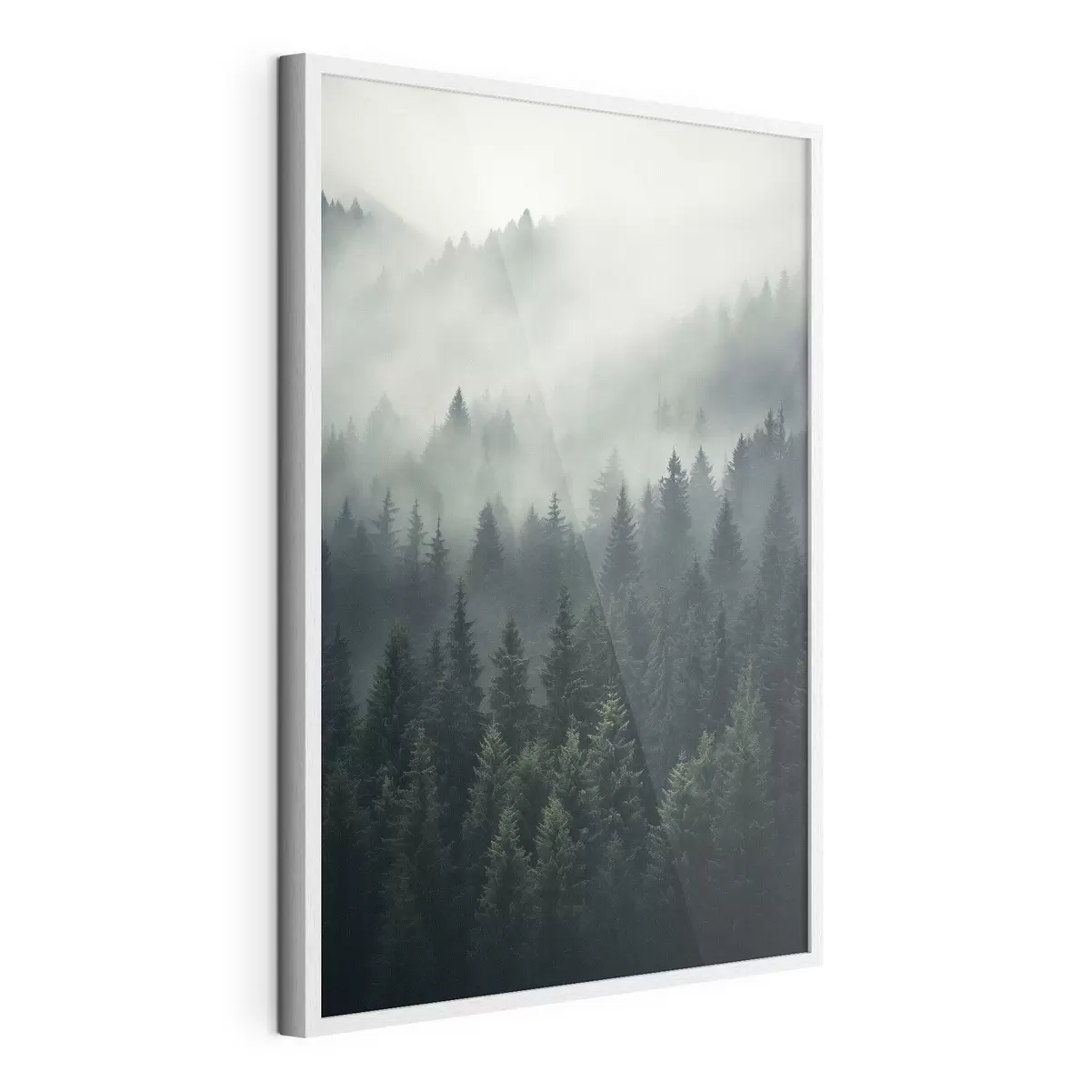 Poster Niebla sobre un denso bosque siempreverde f46512