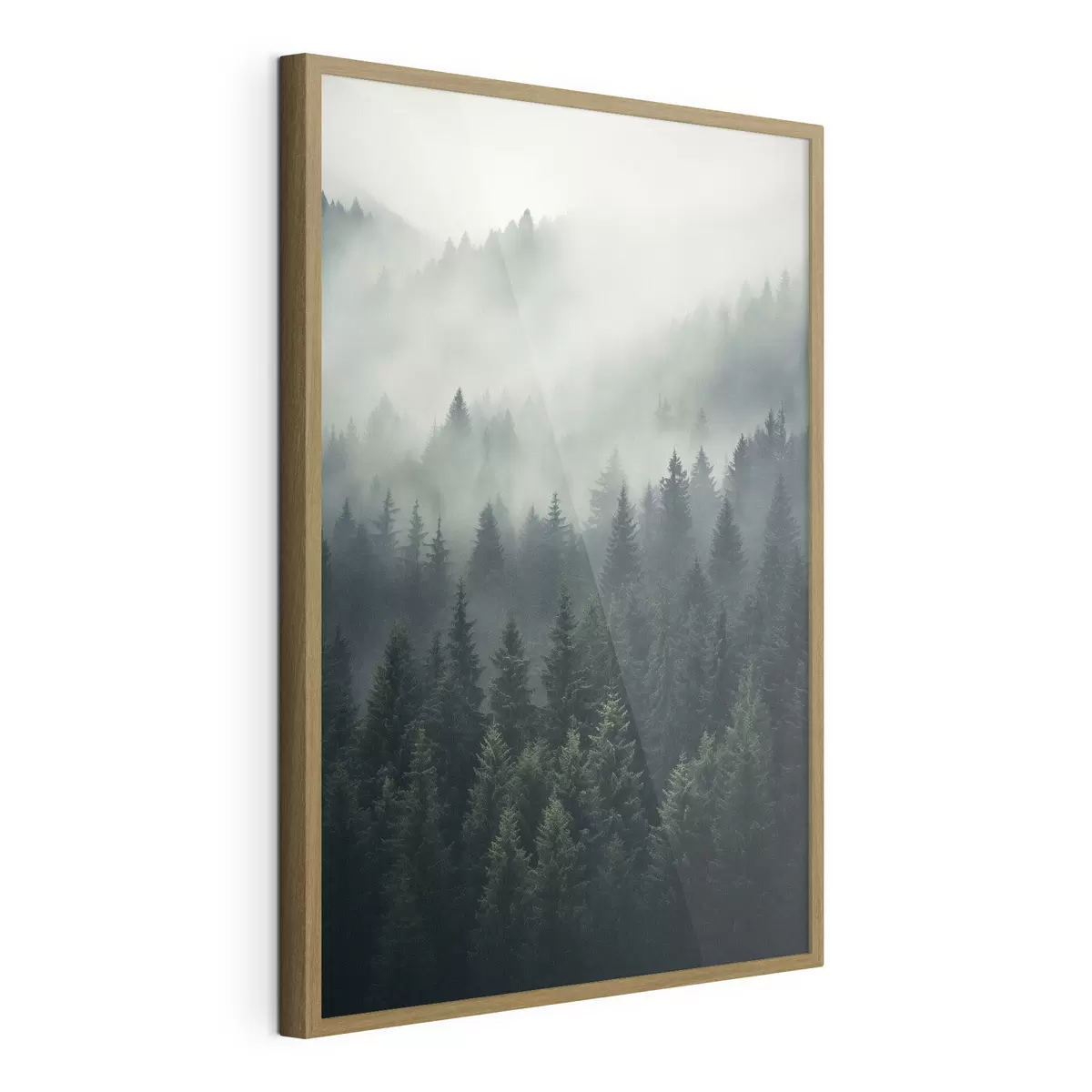 Poster Niebla sobre un denso bosque siempreverde f46512