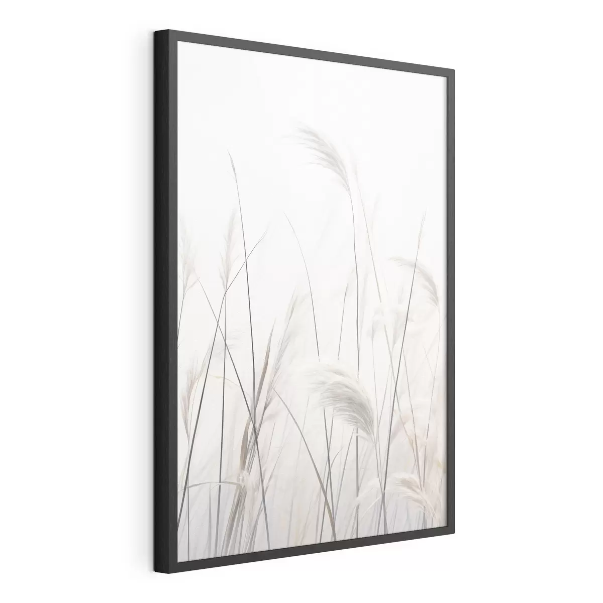 Poster Plantas sobre fondo claro f46883