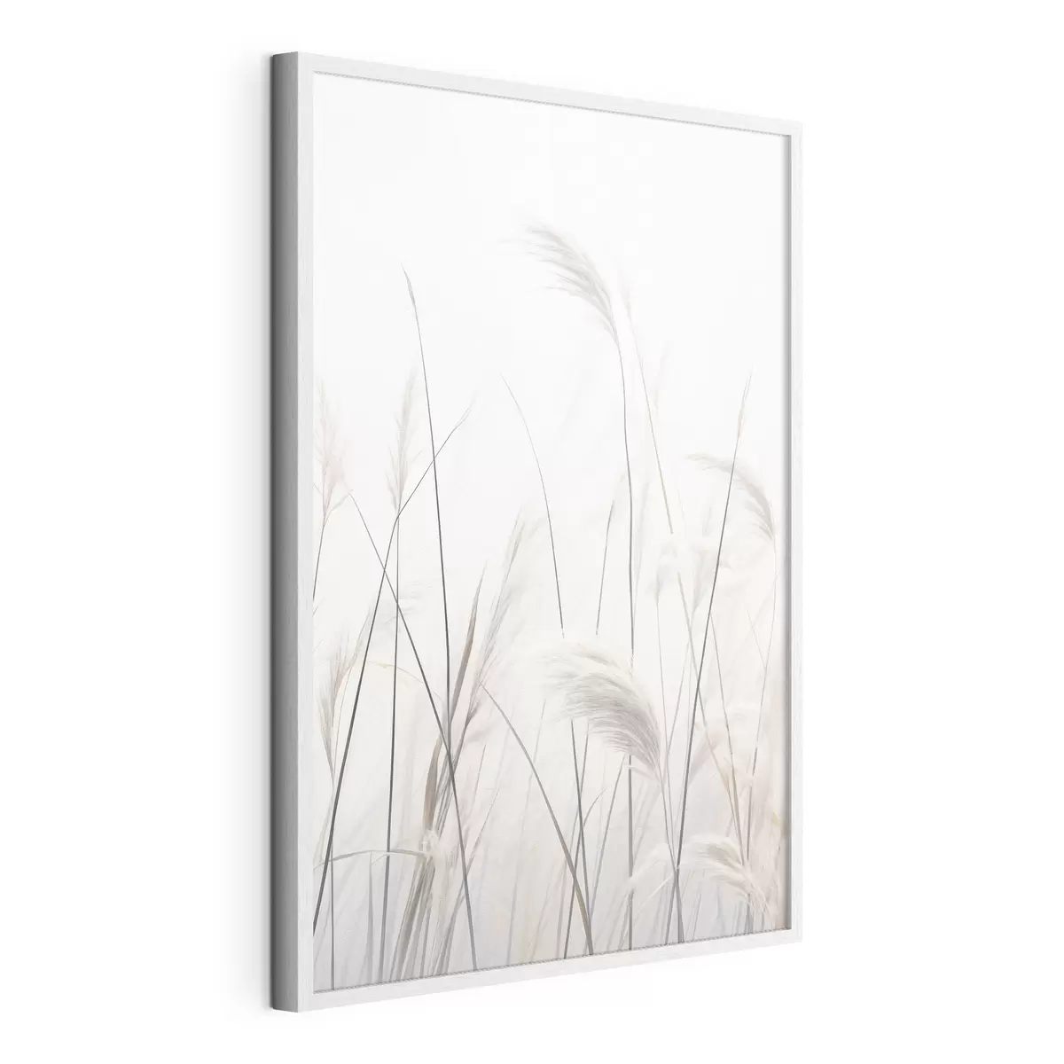 Poster Plantas sobre fondo claro f46883