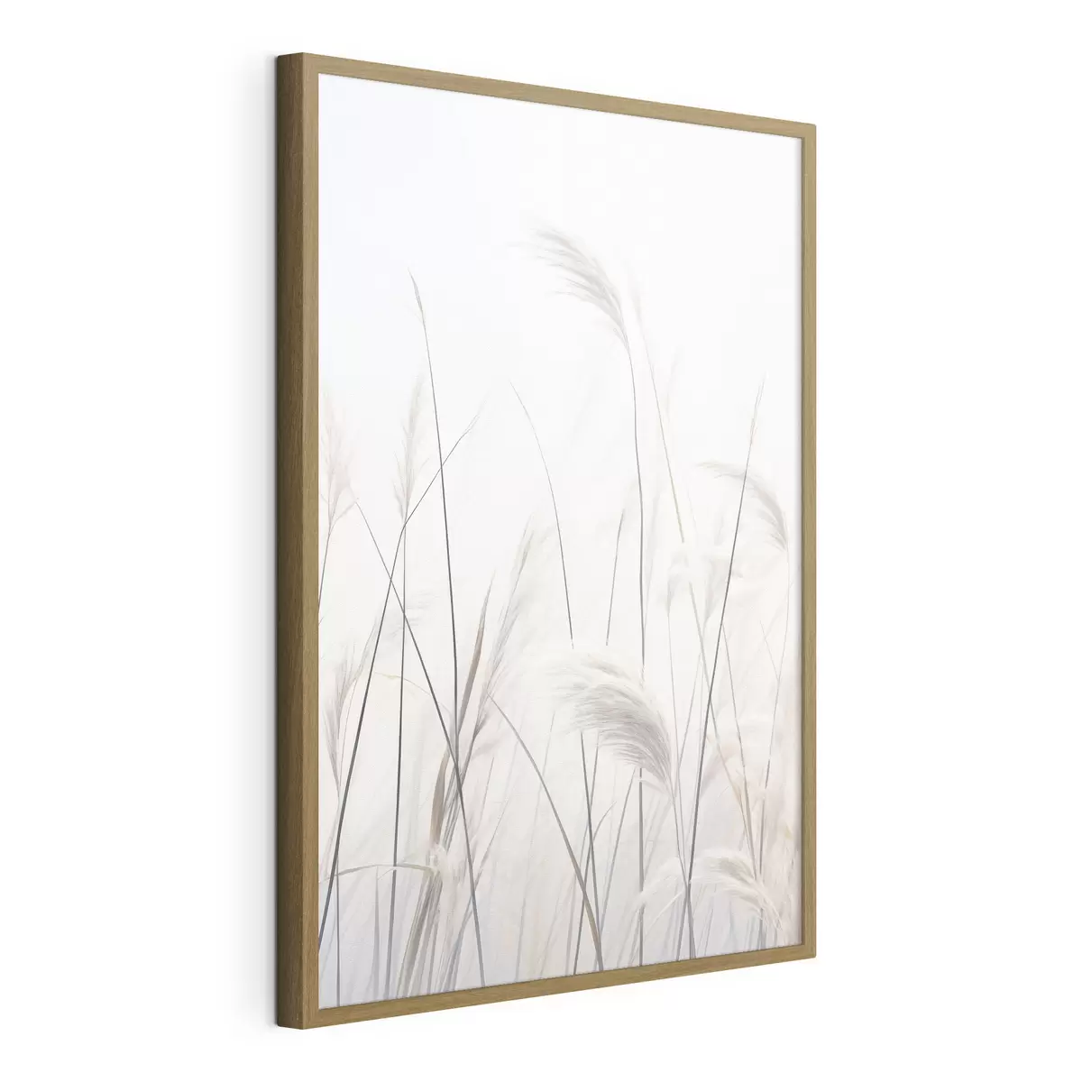 Poster Plantas sobre fondo claro f46883