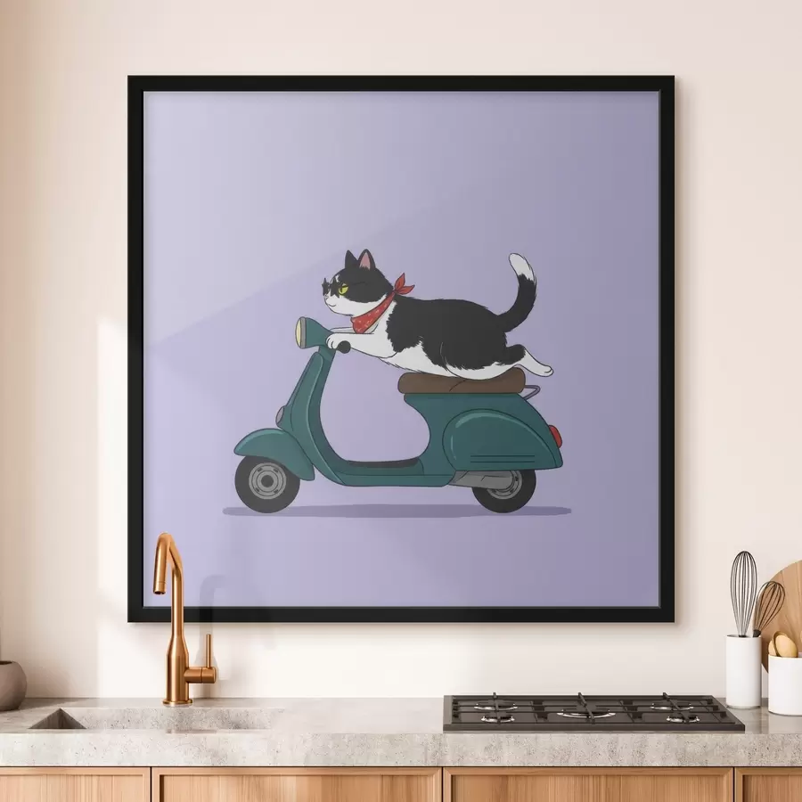 murales de pared Gato en una motocicleta f46847