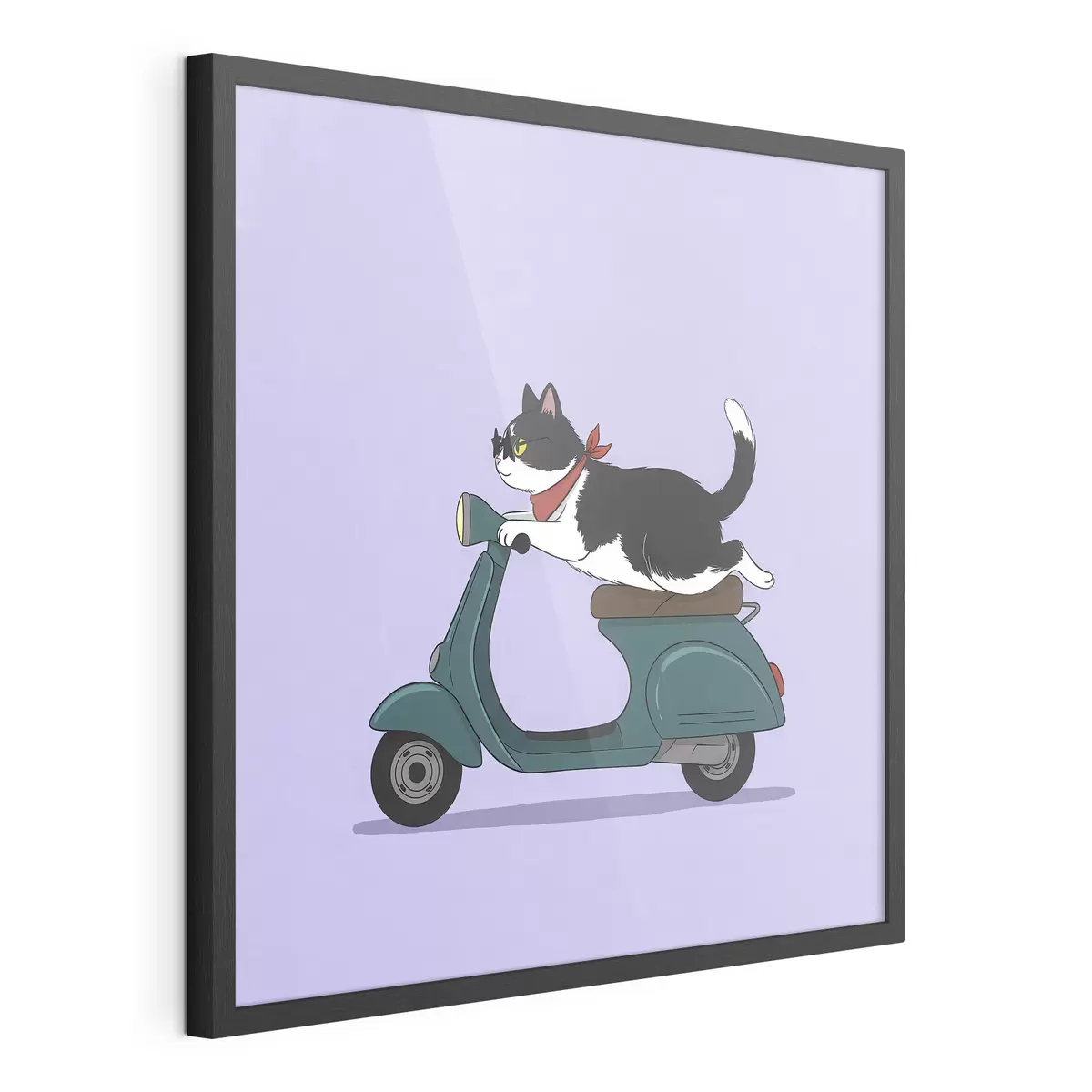 Poster Gato en una motocicleta f46847