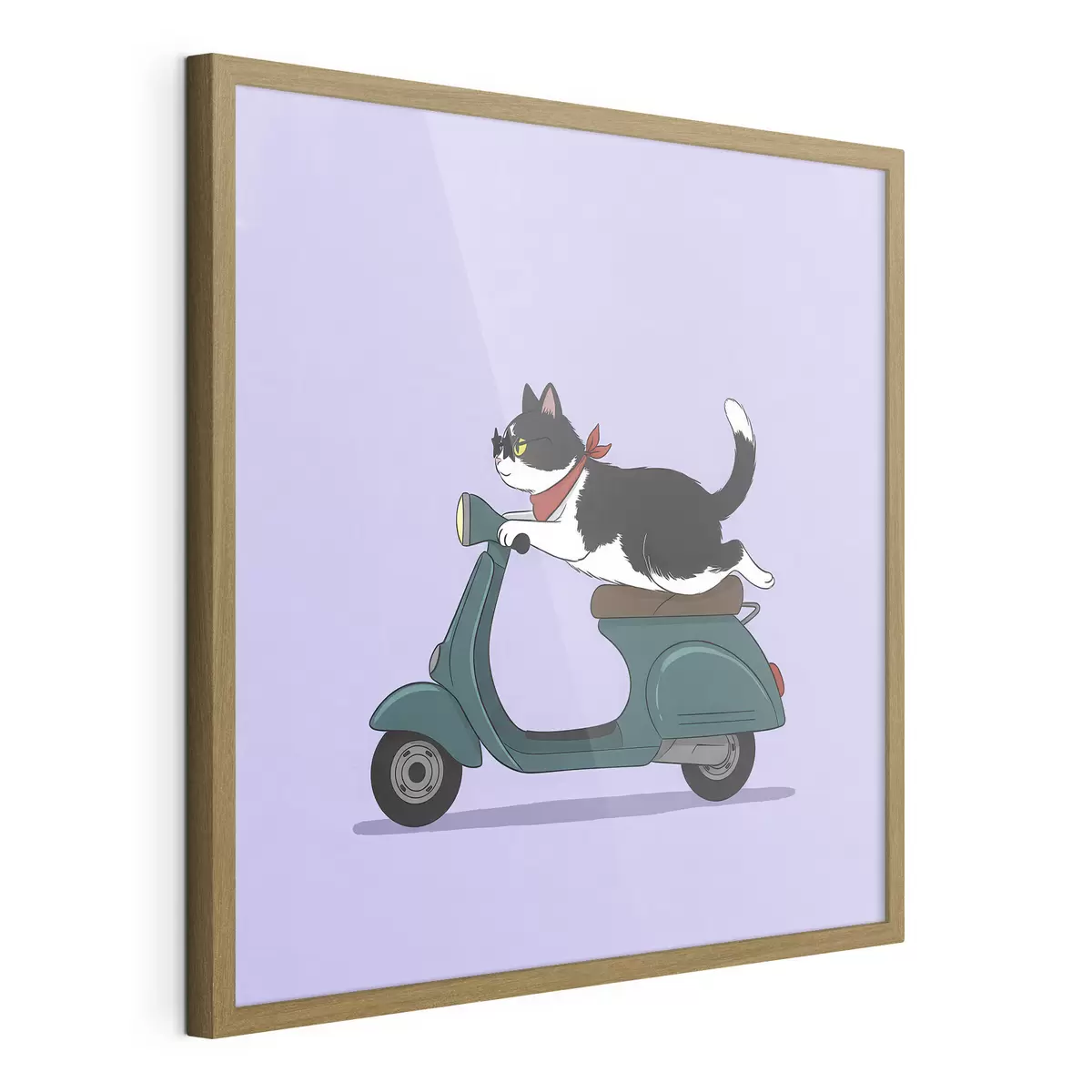 Poster Gato en una motocicleta f46847