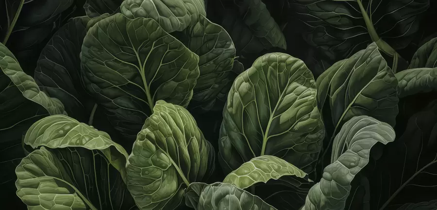 murales de pared Hojas verdes juguetonas w05043