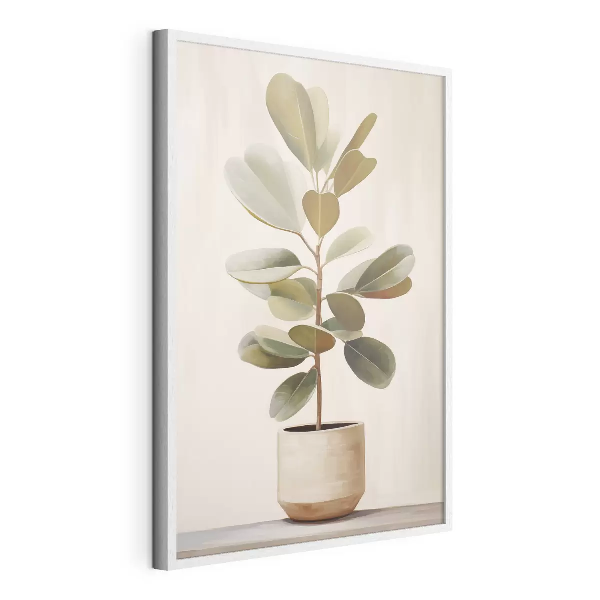Poster Ficus en una maceta f47152