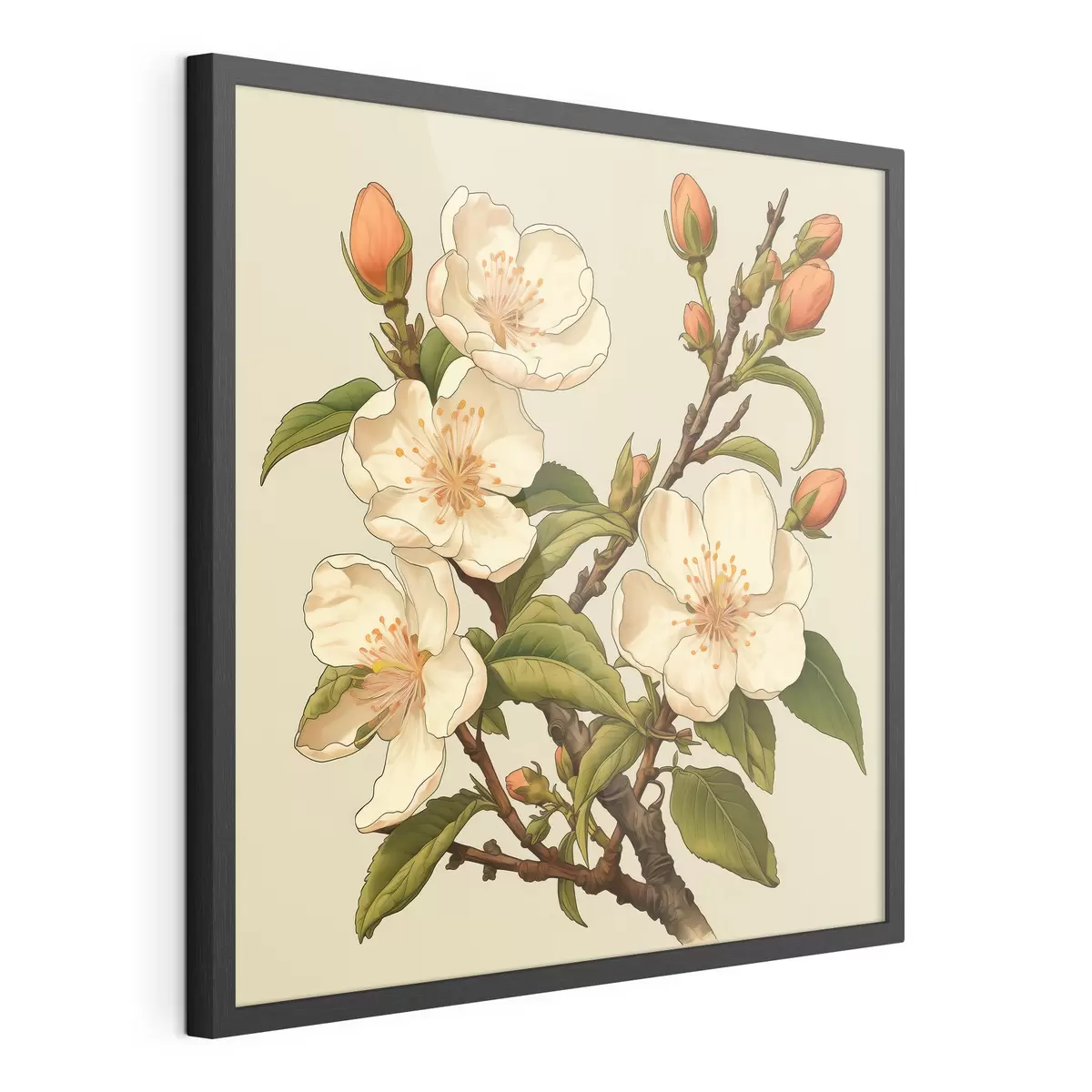 Poster Rama florecida con flores blancas sobre fondo beige al estilo de una ilustración clásica. f46923