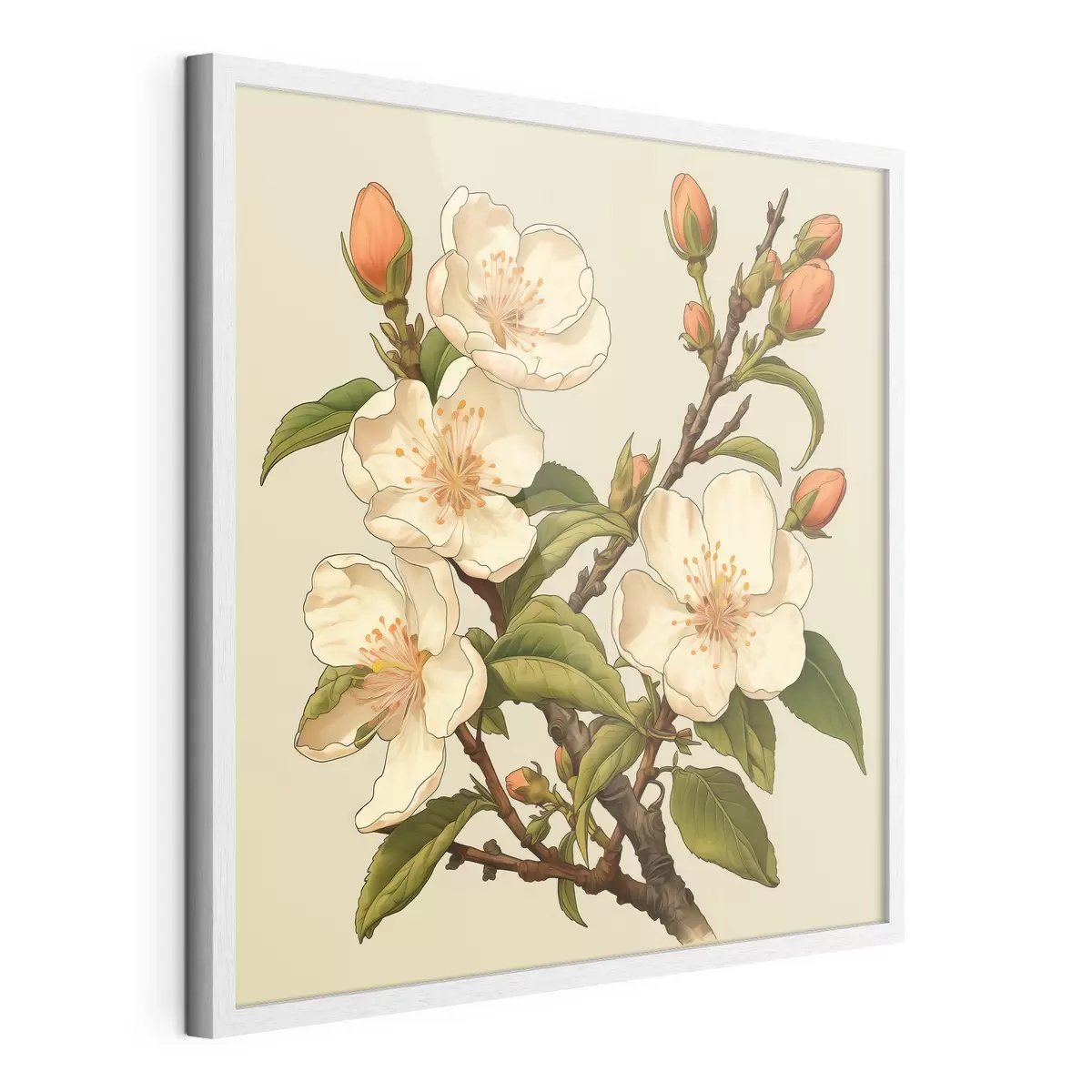 Poster Rama florecida con flores blancas sobre fondo beige al estilo de una ilustración clásica. f46923