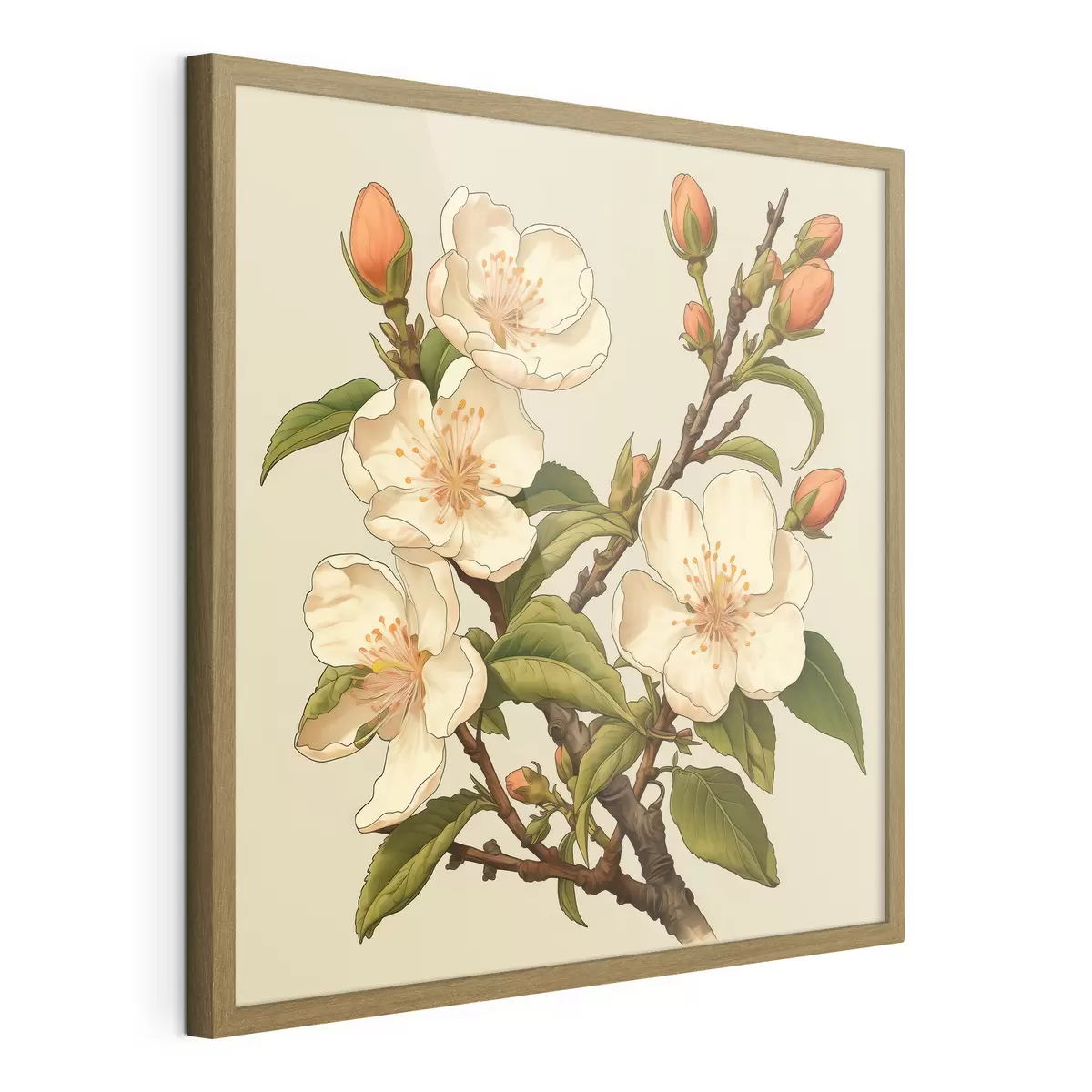 Poster Rama florecida con flores blancas sobre fondo beige al estilo de una ilustración clásica. f46923