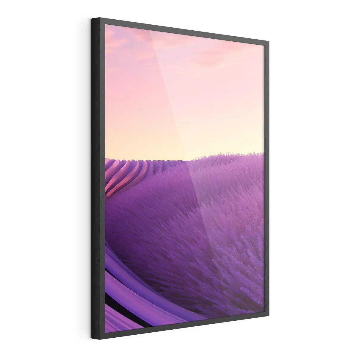 Poster Campo de lavanda al atardecer f47111