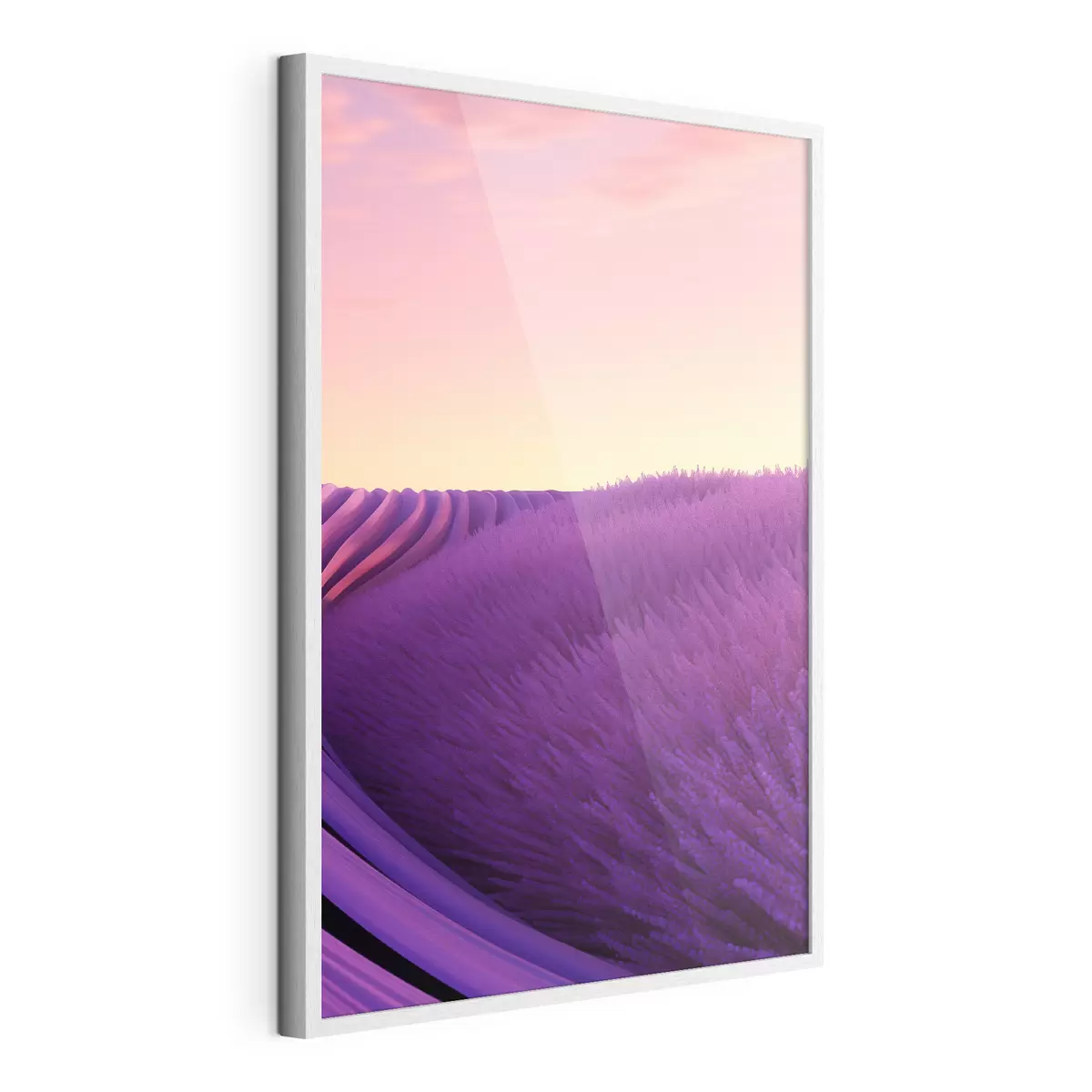 Poster Campo de lavanda al atardecer f47111