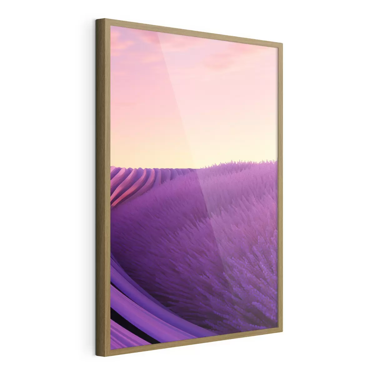Poster Campo de lavanda al atardecer f47111