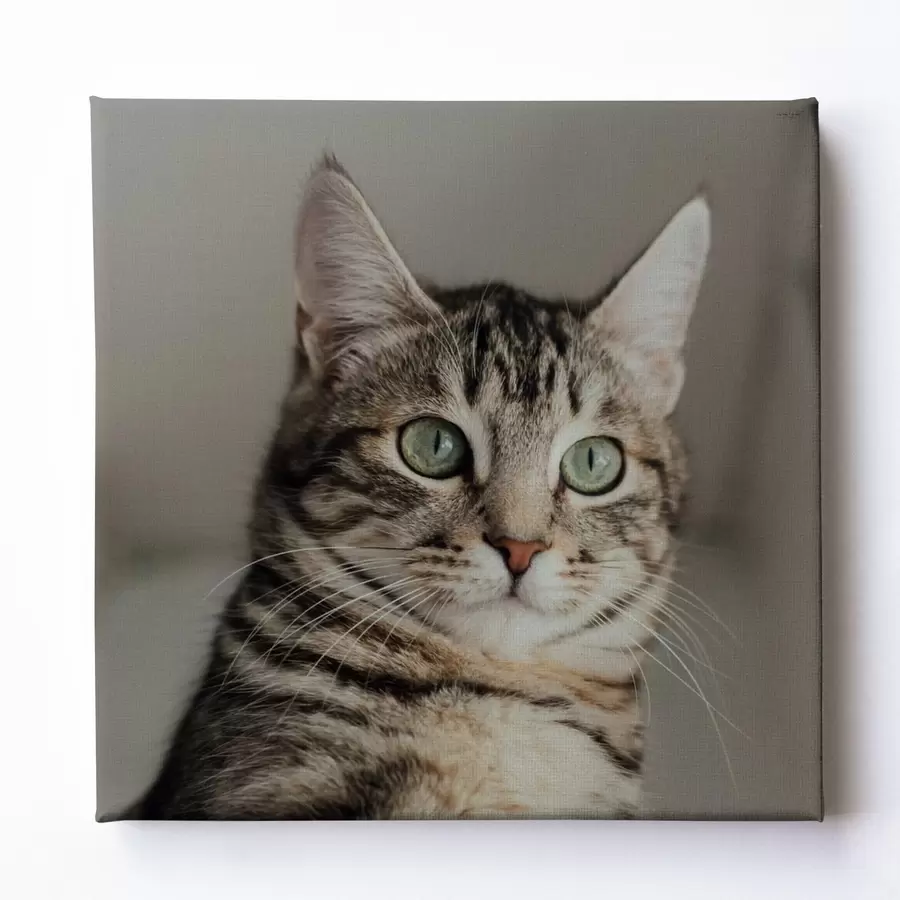 murales de pared Regalo romántico para una pareja basado en una foto s47204