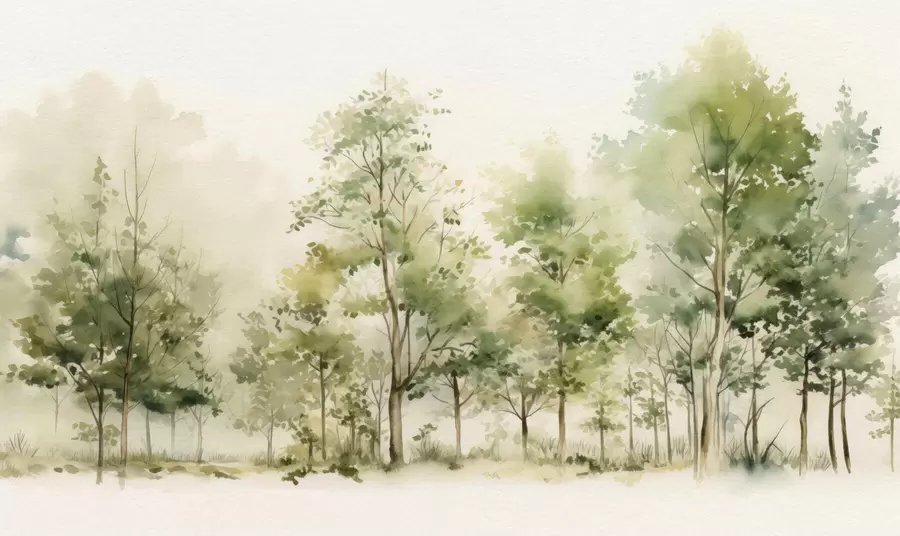 murales de pared Bosque caducifolio en acuarela w05180