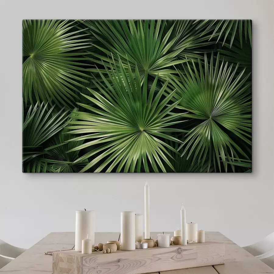 murales de pared Hojas grandes, bragaea s47746