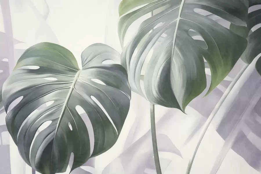 murales de pared Hojas de monstera texturizadas, grandes y verdes, sobre un fondo abstracto suave y claro. w09477