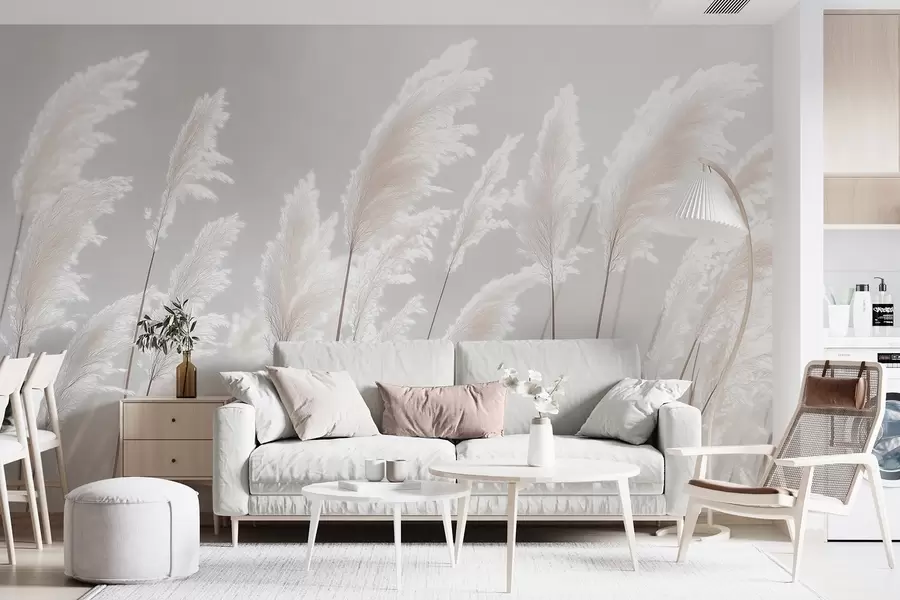 murales de pared Suave hierba de la pampa blanca bajo la suave luz de la mañana. w09717