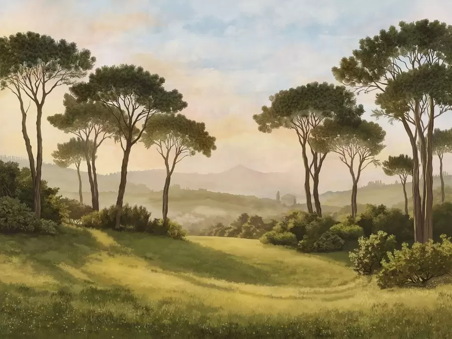 murales de pared Paisaje con árboles bajo la cálida luz del atardecer w05122