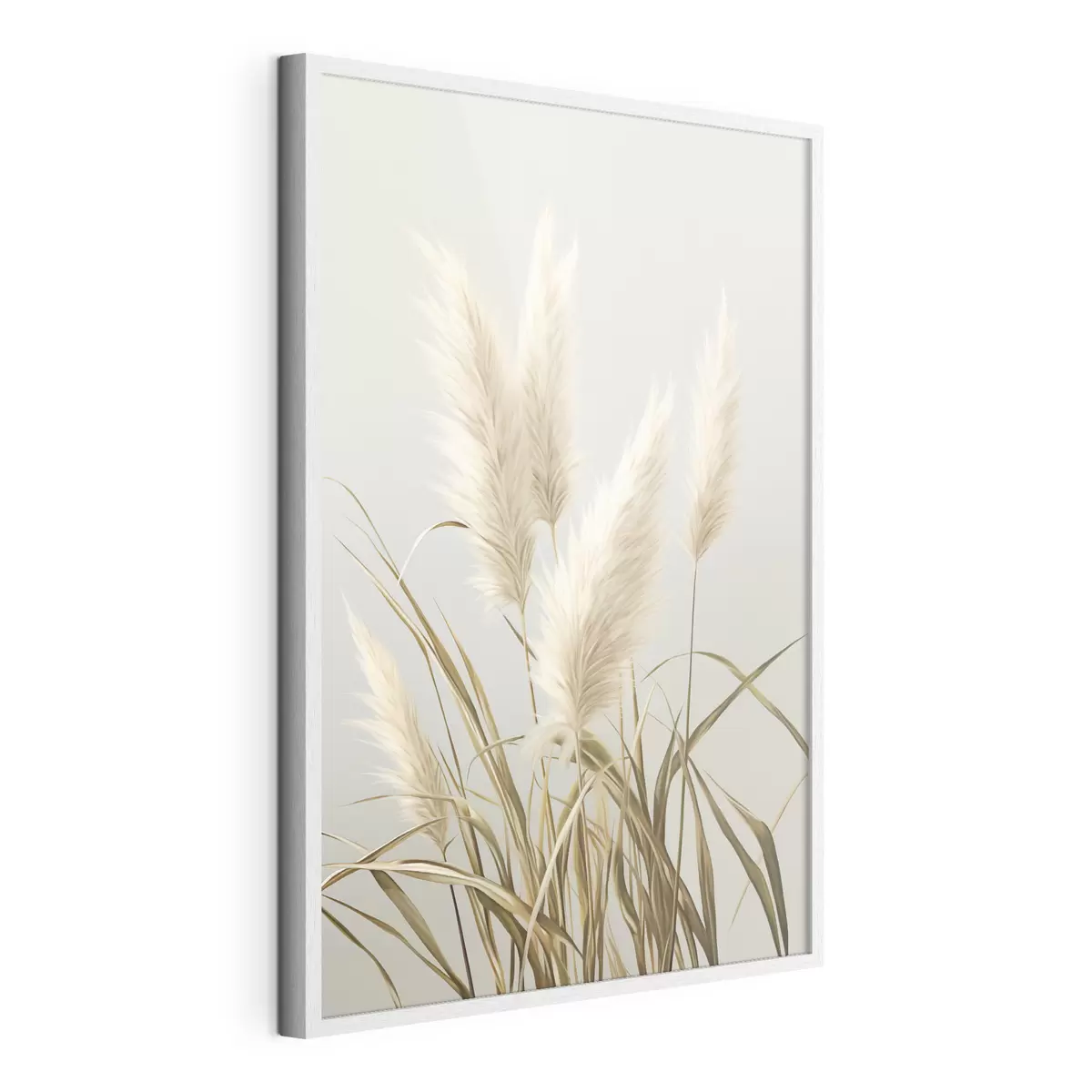 Poster Varias plantas altas de hierba de la pampa, con hojas largas y delgadas f48723